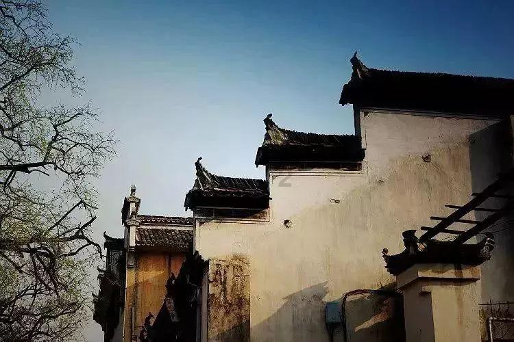 麦穗丰:广州虽败犹荣 郭士强继续证明自己的执教是CBA一流水准